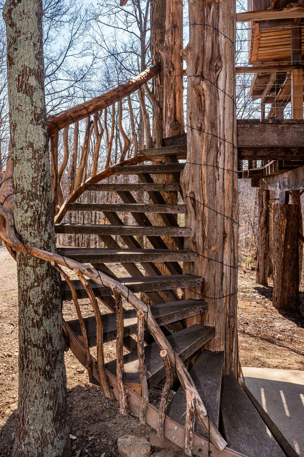 Mountaintop Treehouse - Photo 3