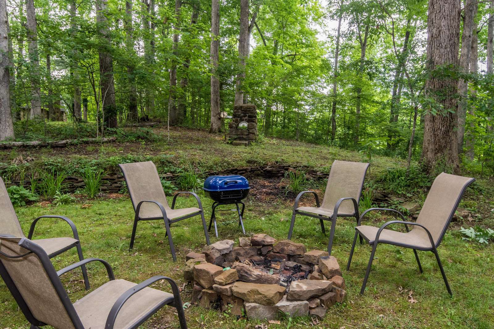Dragonfly Hill Cabin - Photo 3
