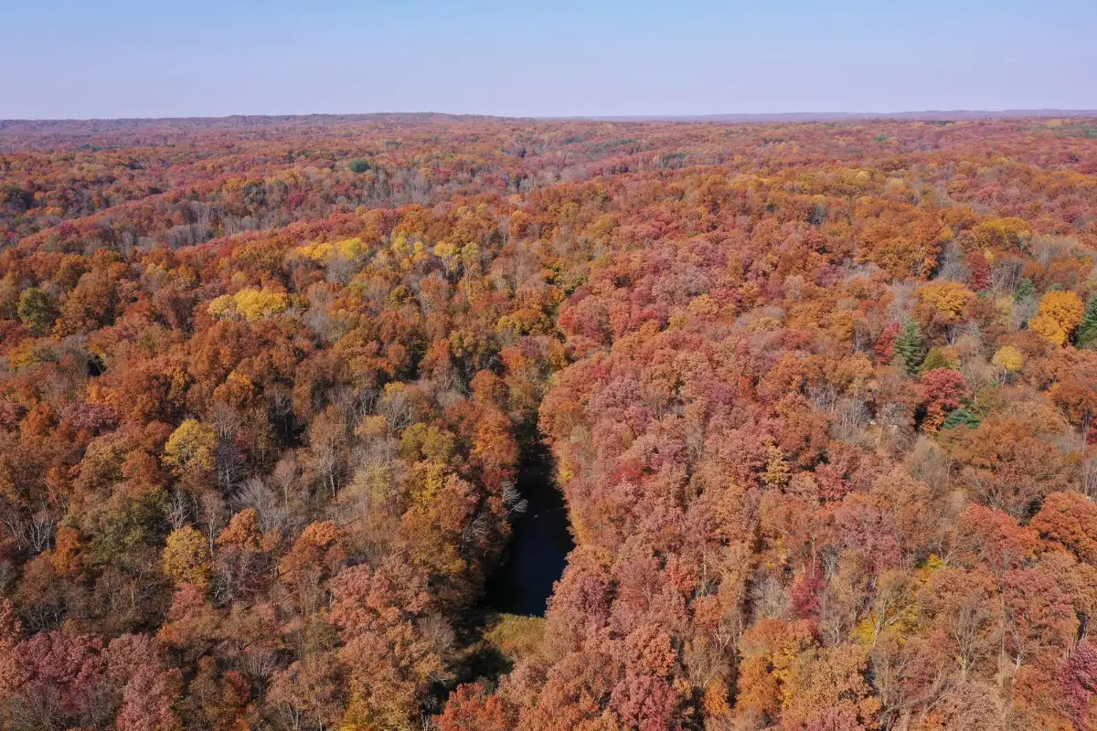 Hike, Eat, Soak, Repeat: A No-Stress Brown County Weekend
